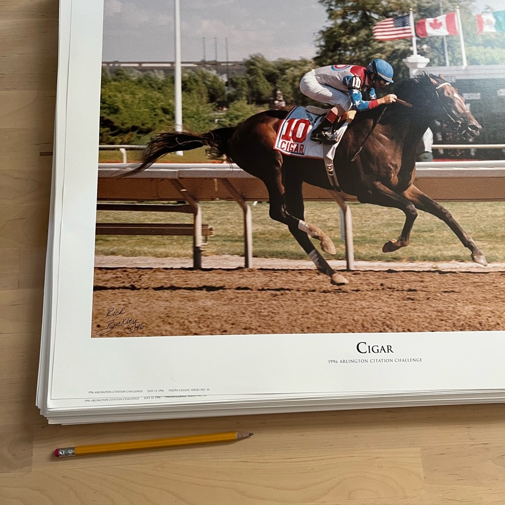 Large Cigar Horse Racing Vintage New Poster from 1996 Arlington Park!